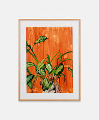 Bildergebnis für Joy Labinjo