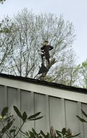 Shop our great selection of roof weathervanes & save. Fiddler On Roof Weathervane Custom Design