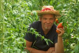 Check spelling or type a new query. Tomaten Pflanzen Aussaat Bis Ernte Und Saatgutgarteln