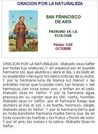 Biografía De San Francisco De Asís Resumen Pin De Nestor German En Oraciones Catolicas Oracion De San Francisco Francisco De Asis Frases Oraciones De Fe