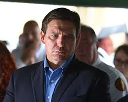 Posts with replies by Maryann Lawrence (@mlaw6895)