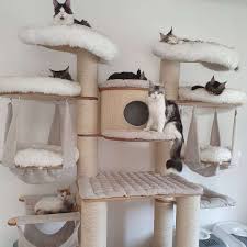 One cat is usually happy with a sizeable cat tree. 10 Amazing Cat Trees You Have To See
