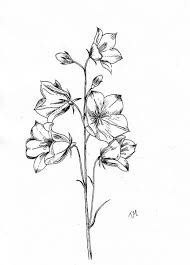 The heart of the georgia o'keeffe museum's collection is the art and art materials of o'keeffe, which comprise 140 of her oil paintings, more than 100 watercolors, and multiple casts of three different sculpture designs. Bluebell A Z Flower Collection Bytriska Drawings Illustration Flowers Plants Trees Flowers Flowers A H Bluebells Artpal