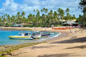 Featuring exotic plants, trickling streams, and duck ponds, our gardens provide a relaxing and tranquil backdrop for your vacation. Praia Do Forte In Bahia Brasilien Franks Travelbox