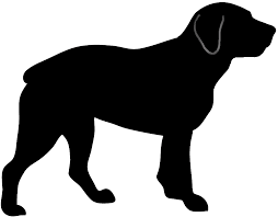 The best selection of royalty free labrador outline vector art, graphics and stock illustrations. Ilmu Pengetahuan 6 Dog Face Outline Transparent