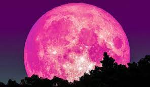 Sinopsis del libro luna rosada. Luna Rosa 2020 Preparate Para Verla En Abril Sociedad W Radio Mexico