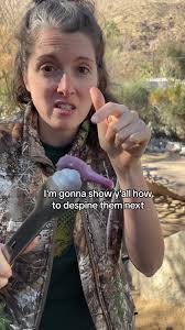 Foraging for Prickly Pear Fruit! Here’s how to open a prickly pear fruit.  #fyp #foraging #pricklypear #howto #cactusfruit