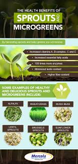 The Many Health Benefits Of Sprout