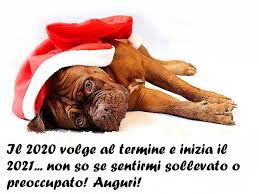 Auguri Di Buon Anno 102 Frasi E Immagini Divertenti Per Iniziare Al Meglio Un Nuovo Anno A Tutto Donna