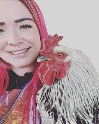 Looking for hens in northwest Albuquerque, NM area?