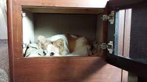 Rv with built in dog kennel. Built In Dog Crate Forest River Forums