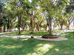 The university of ghana is the oldest and largest of the thirteen ghanaian national public universities. Kakamega S Muliro Gardens To Be Fitted With Wi Fi Photos Uzalendo News