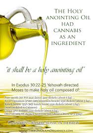 Is anyone among you sick? The Holy Anointing Oil Had Cannabis As An Ingredient What Is Cannabis Tikkun Olam Organics