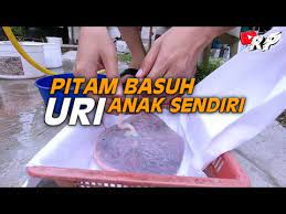 (untuk hilangkan bau hanyir darah) 6). Cara Basuh Tanam Uri Anak Sendiri Rasa Nak Pitam 033 Youtube
