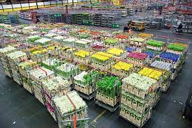 Check spelling or type a new query. How To Visit The Aalsmeer Flower Auction From Amsterdam The Netherlands Cheeseweb