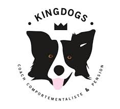 La garde d'animaux, une aubaine. Garde D Animaux A Domicile A Velleron Kingdogs