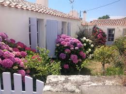 Nos Hortensias A L Ile D Yeu France France Plants Natural Beauty