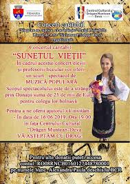 Ai nevoie de implant dentar sau ai o urgenta stomatologica? Spectacol Caritabil Pentru Alexandra Vanc La Deva Gazeta Muzicantilor