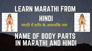 In this video i have covered the topic body parts. List Of Body Parts In Marathi à¤®à¤° à¤  à¤® à¤¶à¤° à¤° à¤• à¤…à¤µà¤¯à¤µ à¤• à¤¨ à¤® Marathi Mem Sharir Ke Avayavomke Nam