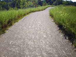 Maybe you would like to learn more about one of these? Alternatives To Polymeric Sand Envirobond Products Corp