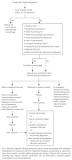 Image result for what is emergency room treatment protocol for migraines