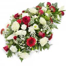 We did not find results for: Send Flowers To Australia From South Africa