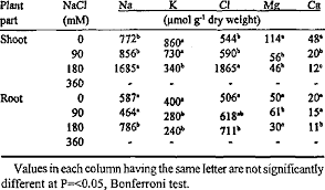 Image result for Halopyrum mucronatum