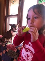 Gage's Travel Adventures