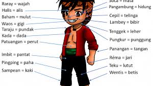 Karena biasanya soal pts sunda kelas 11 semester 1 yang akan diujikan tidak jauh berbeda dengan soal tahun sebelumnya. Nama Anggota Badan Dalam Basa Sunda Lemes Muhyidin Skm