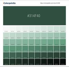 Undefined Pantone Solid Color Backgrounds Color