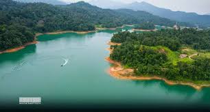 Other jetties are located at tanjung mentong, sungai como and tembat. Bio D Tropika Umt Institut Biodiversiti Tropika Dan Pembangunan Lestari