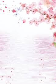 زهر الخوخ زهر الخوخ الربيع الربيع زهر الخوخ مهرجان زهر الخوخ ربيع صورة الخلفية للتحميل مجانا