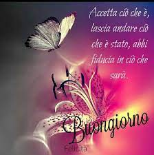 Un chien avec une rose dans sa gueule et 3 papillons 1 photo. Immagini Buongiorno Con Fiori E Farfalle