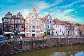 Image result for Stadmannia