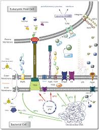 Check spelling or type a new query. Https Edoc Ub Uni Muenchen De 27446 7 Kakoschke Tamara Katharina Pdf