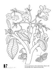 We did not find results for: Science Coloring Sheets Printable Pdf Download