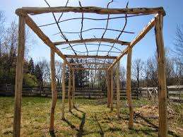 Garden Trellis Screening Garden Fence Panels Gates Arctic Kiwi Trellis