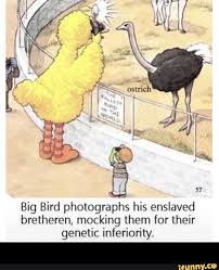 Pin By Extreme Master On Giggles Really Funny Memes Dark Humour Memes Funny Memes Master trole kid, also known as cool and trendy kid with sunglasses, is a type of photoshopped images depicting a prepubescent fashion model transposed at different angle. pinterest