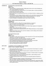 Sales Manager Job Description Resume Awesome Job Application For Sales Manager Fmcg National Sales Resume Examples Best Resume Format Hotel Sales