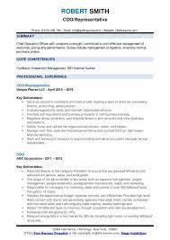 As such, your chief operating. Coo Resume Samples Qwikresume