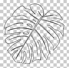 Leaf Swiss Cheese Plant Tropics Png Clipart Alocasia Odora Arecaceae Leaf Orchids Palm Branch Free Png Download It is a very clean transparent background image and its resolution is 1067x900 , please mark the image source when quoting it.