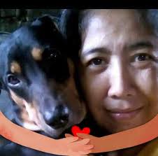 FDA Circular 2016-004 Procedures