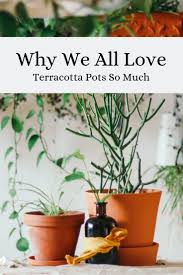 Why We All Love Terracotta Pots So Much Terracotta Pots Potted Houseplants Plant Decor