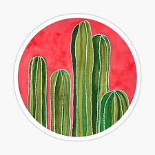 Many people start out with cactus as a gift plant and don't think much about cactus propagation. Organ Pipe Cactus Gifts Merchandise Redbubble