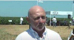 Alfredo González, de ACA, cuenta que "hacer maíz flint no es hacer maíz  sino hacer una especialidad"