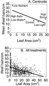 Check out solanaceous4's art on deviantart. Effects Of Environmental Stress On Leaf Hair Density And Consequences For Selection Roy 1999 Journal Of Evolutionary Biology Wiley Online Library