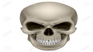 There are 206 bones in the body which make up the skeleton. Question How Many Bones Are In Your Head Ceramics