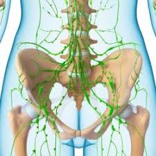 Zu einer schwellung kann es auch nach besonders hartem sex kommen. Lymphknoten Sind Geschwollen Wie Gefahrlich Ist Das