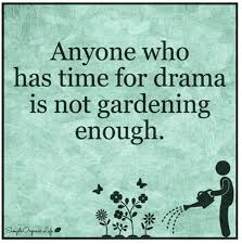 Pin By Schrecki On In The Garden 2016 Gardening Quotes Funny Garden Quotes Garden Signs