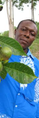 LES FRUITS DU SUCCÈS